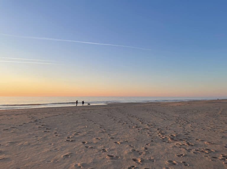 Check out Ocean City in the spring