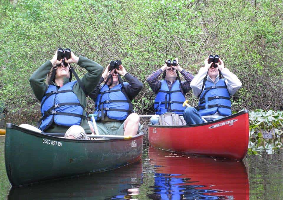 Delmarva birders