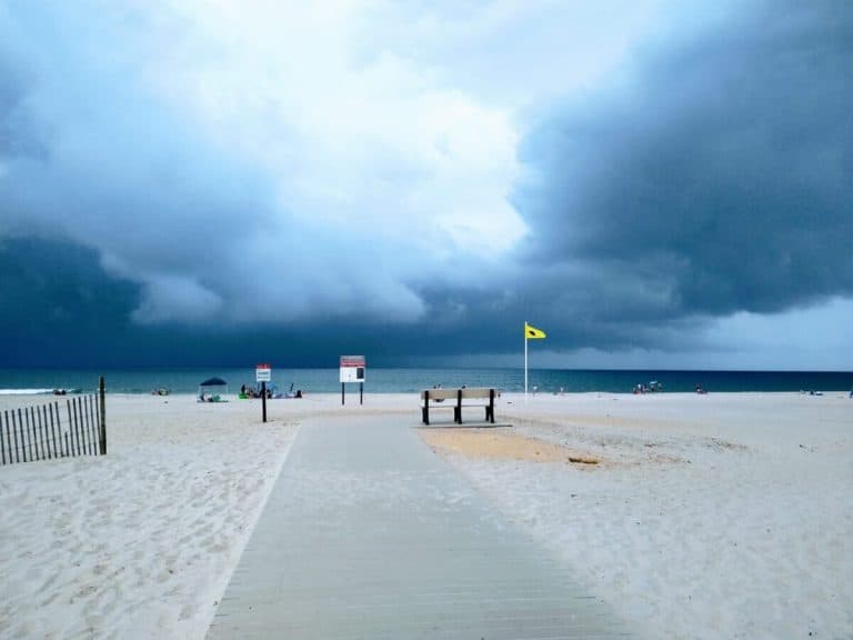 Photo Friday, August 9, 2019