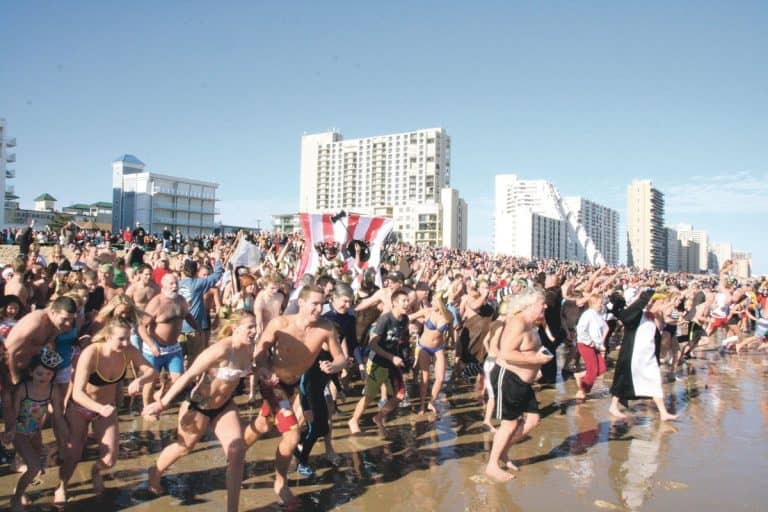 Join the Penguin Swim on New Year’s Day