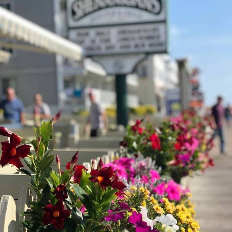 Shenanigans Irish Pub