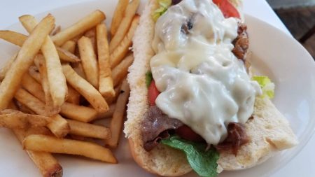 20190205 121806 450x253