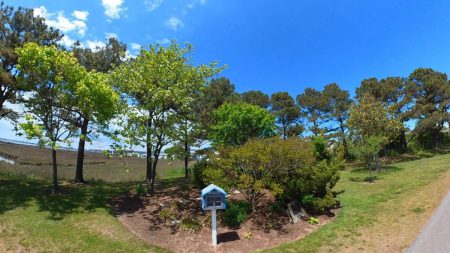 Northside Park free library 450x253