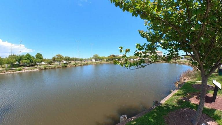 Nothside Park pond 768x432