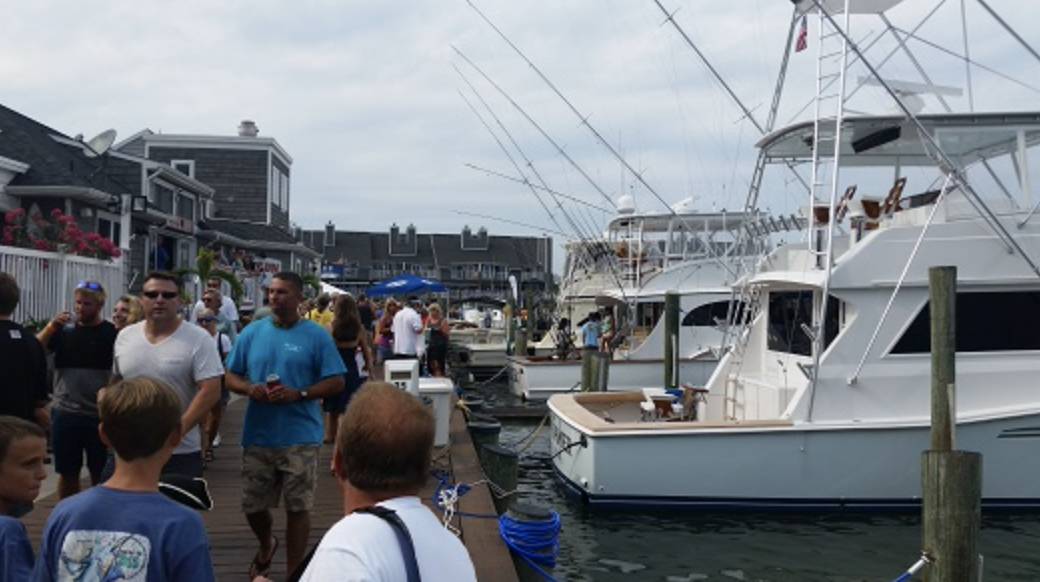 White Marlin Open