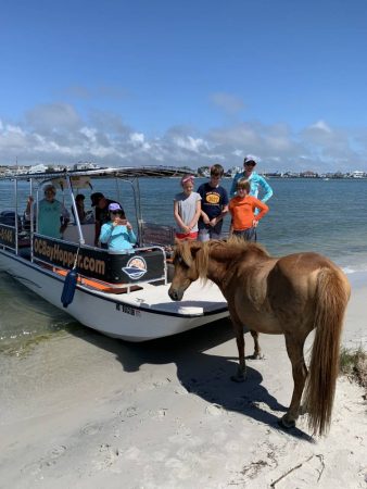 OC Bay Hopper at Assateague