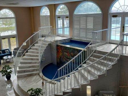 100939156 169953801224641 6339235535483043840 n 450x338