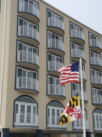 101014093 169954027891285 8749847288265834496 n 336x450