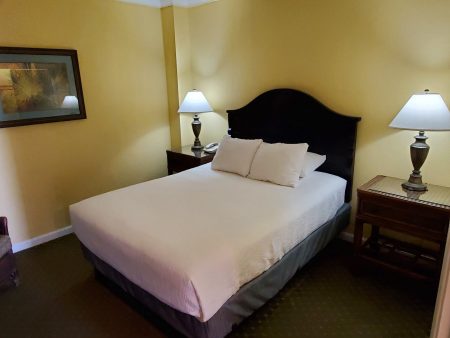 101436485 169953937891294 8085078778541244416 n 450x338