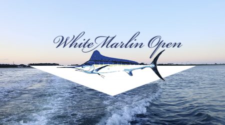 White Marlin