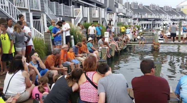 Ocean City, MD - Hotels, Info, Webcams, Dining, Events