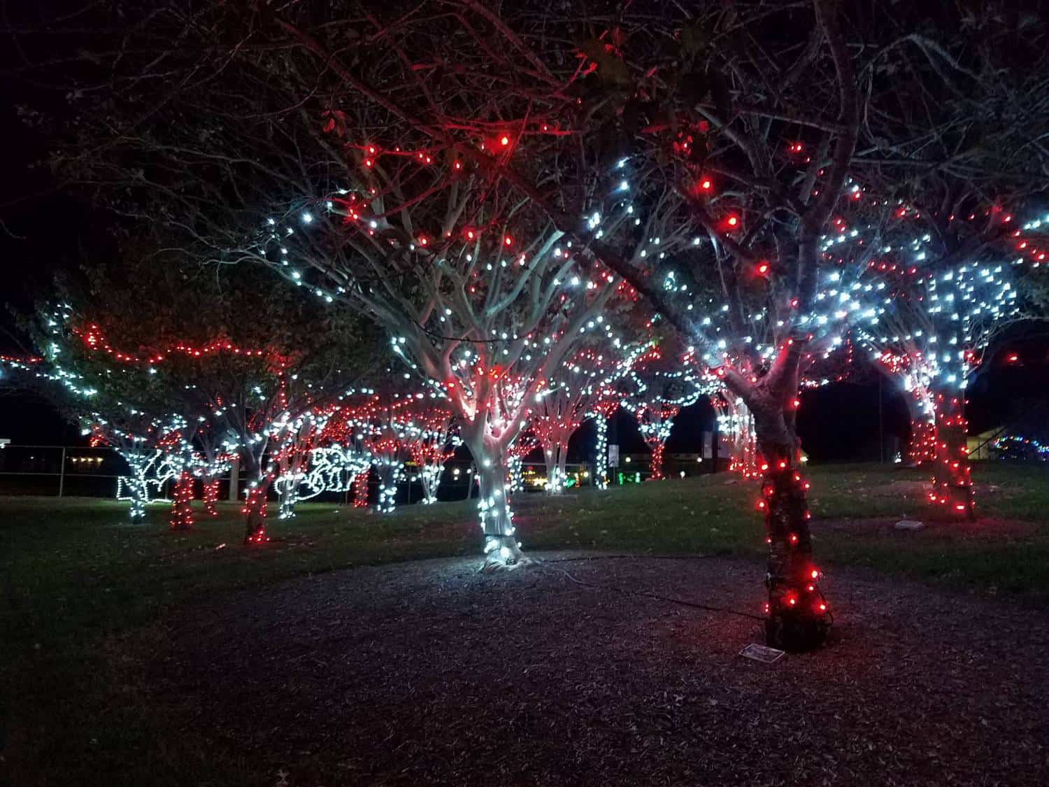Winterfest of Lights Ocean City MD