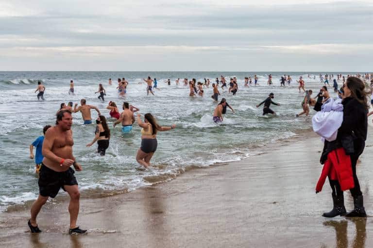 The 28th Annual Penguin Swim!