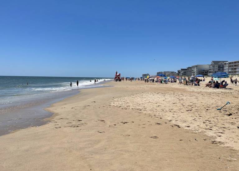 Summer 2022 Off to More Normal Start