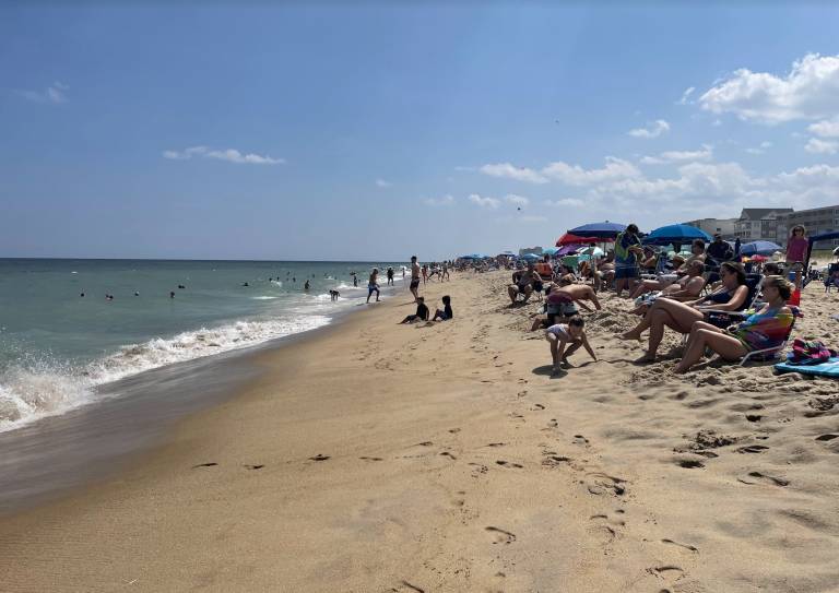 Our 2021 Year in Review in Photos