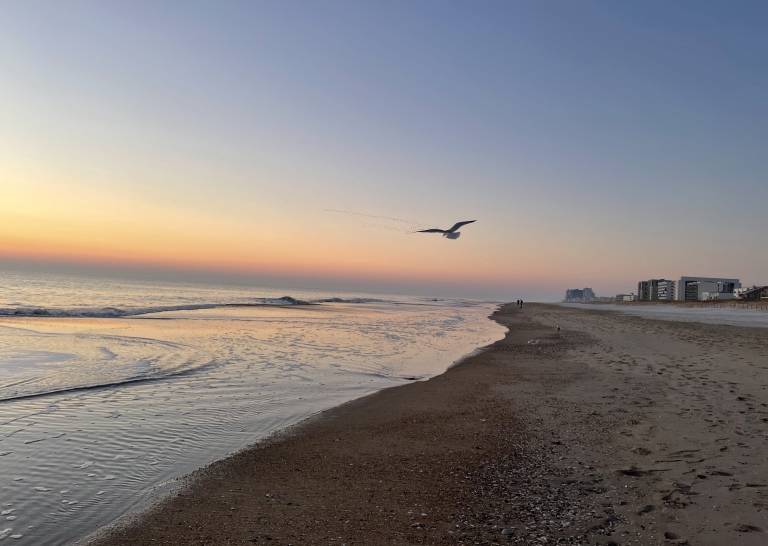 10 Ways to Celebrate the Winter “Blues” in Ocean City, Maryland