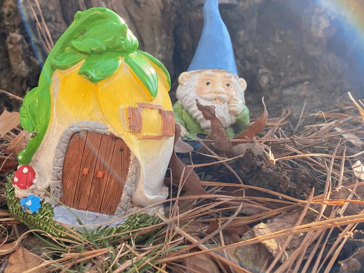 Ocean Pines Fairy Woods Gnomes