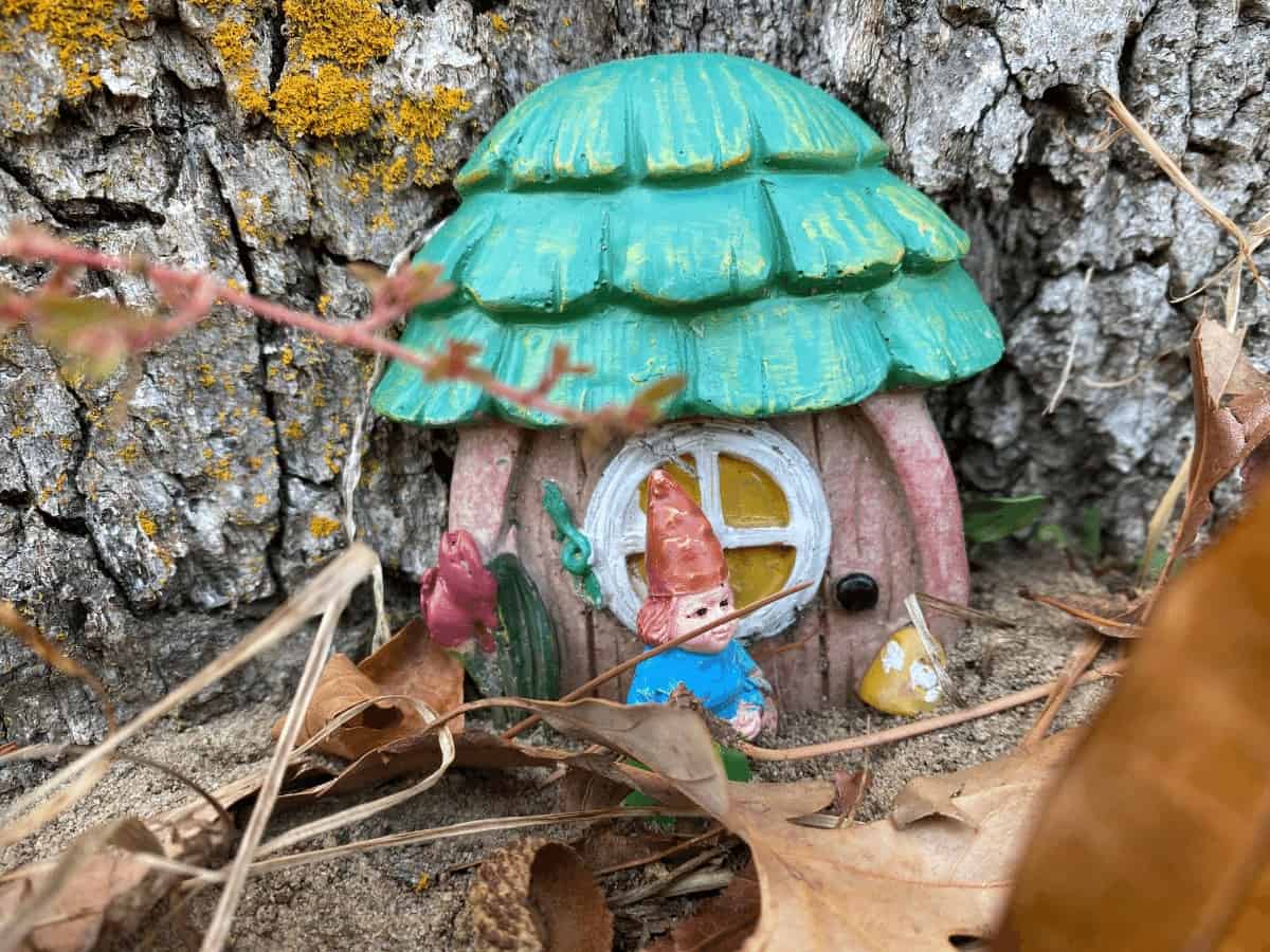 Garden Gnome greets his squirrel friend