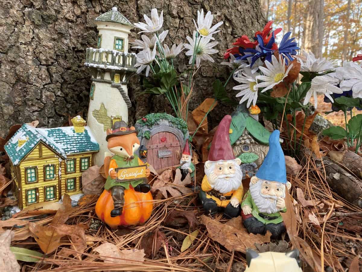 Gnomes and Forrest Friends