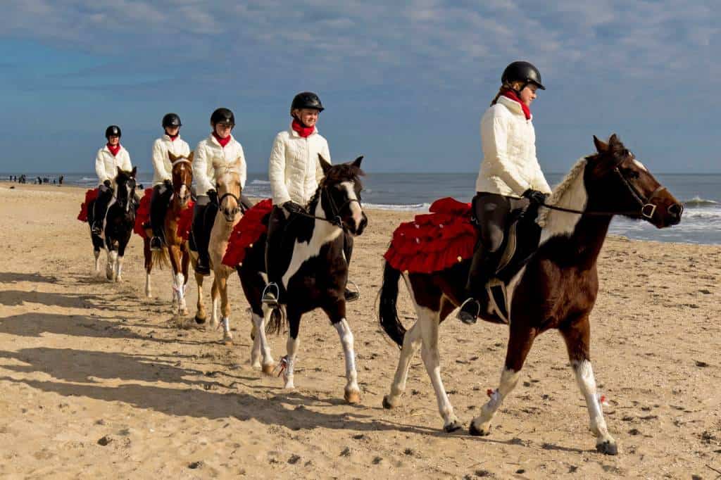 Chincoteague Pony Drill Team wins