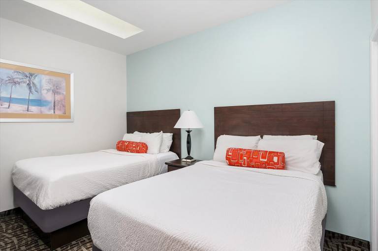 20933381 ImageLargeWidth 768x511