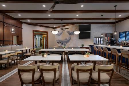32 palm lounge ocmd 450x300