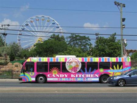 Beach Bus