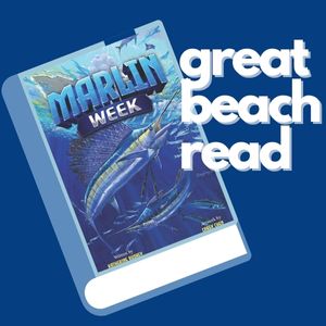 Great Beach Read – Set in Ocean City, Maryland
