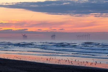 Offshore wind farm. Courtesy of Unsplash - Yaopey Yong. 