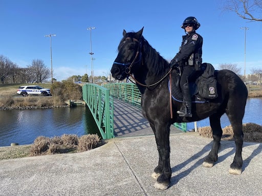 Welcome Riptide to The Ocean City Police Department