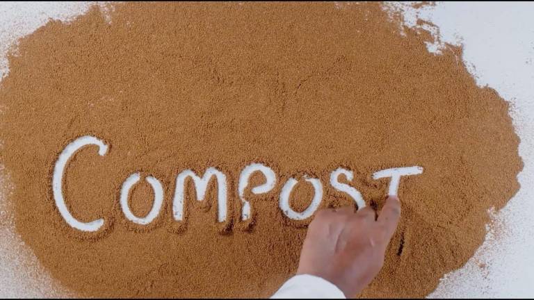 Ocean City is Continuing to Go Green