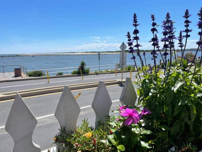 Mothers Day 2023 in Ocean City MD: 10 Ways to Celebrate