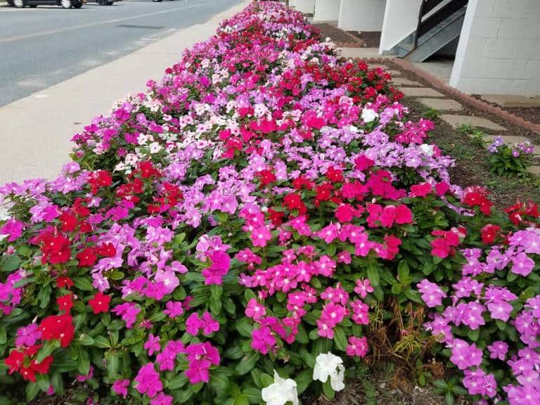 Mothers Day in Ocean City MD