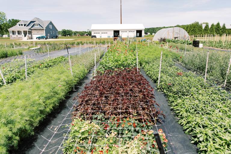 Living Local: A Floral Masterpiece
