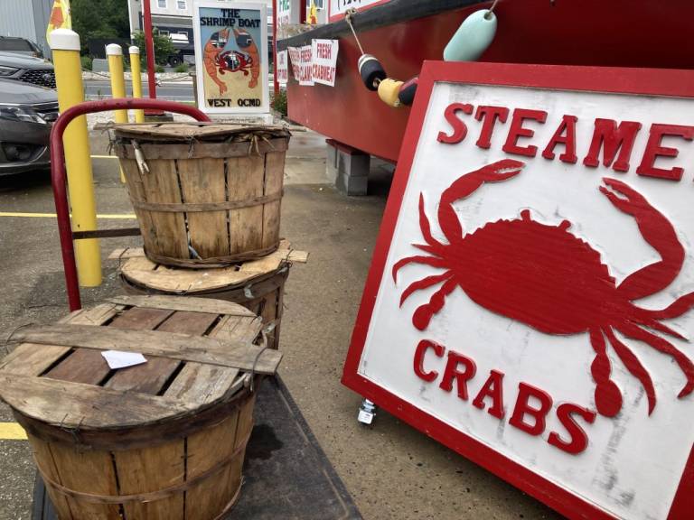 the shrimp boat ocmd