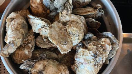 Harrison's Harbor Watch- Winner of Best of Ocean City- Raw Bar