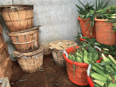 the shrimp boat ocmd