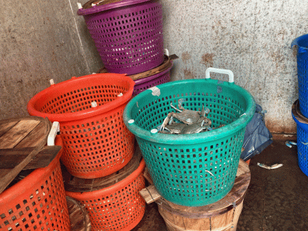 the shrimp boat ocmd
