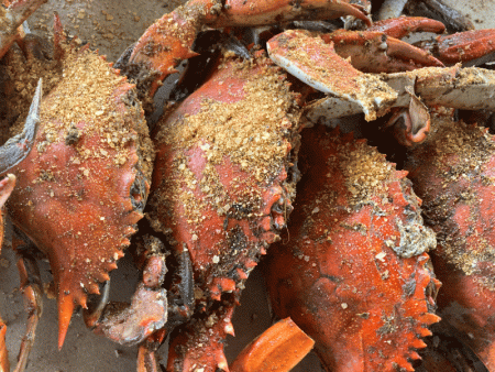the shrimp boat ocmd