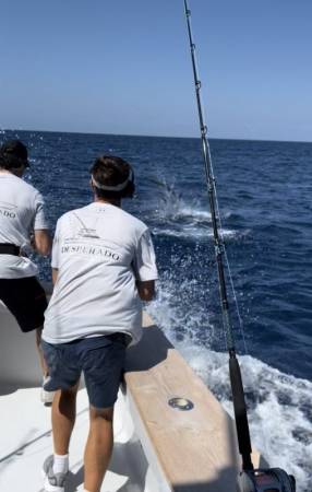 white marlin open ocmd