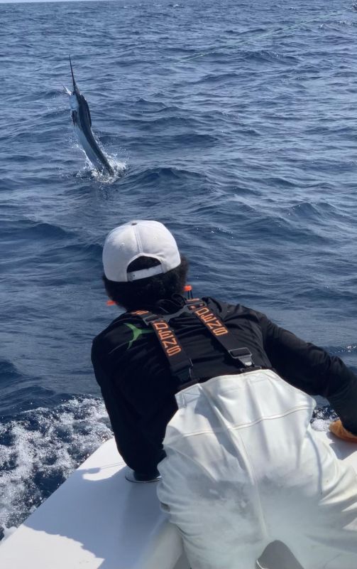 white marlin open ocmd