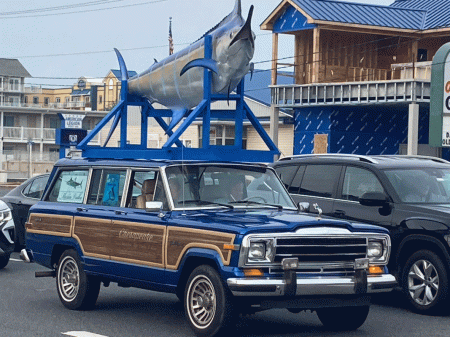 white marlin open car