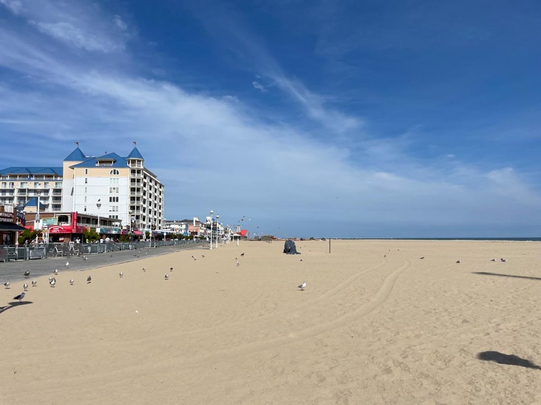 Boardwalk