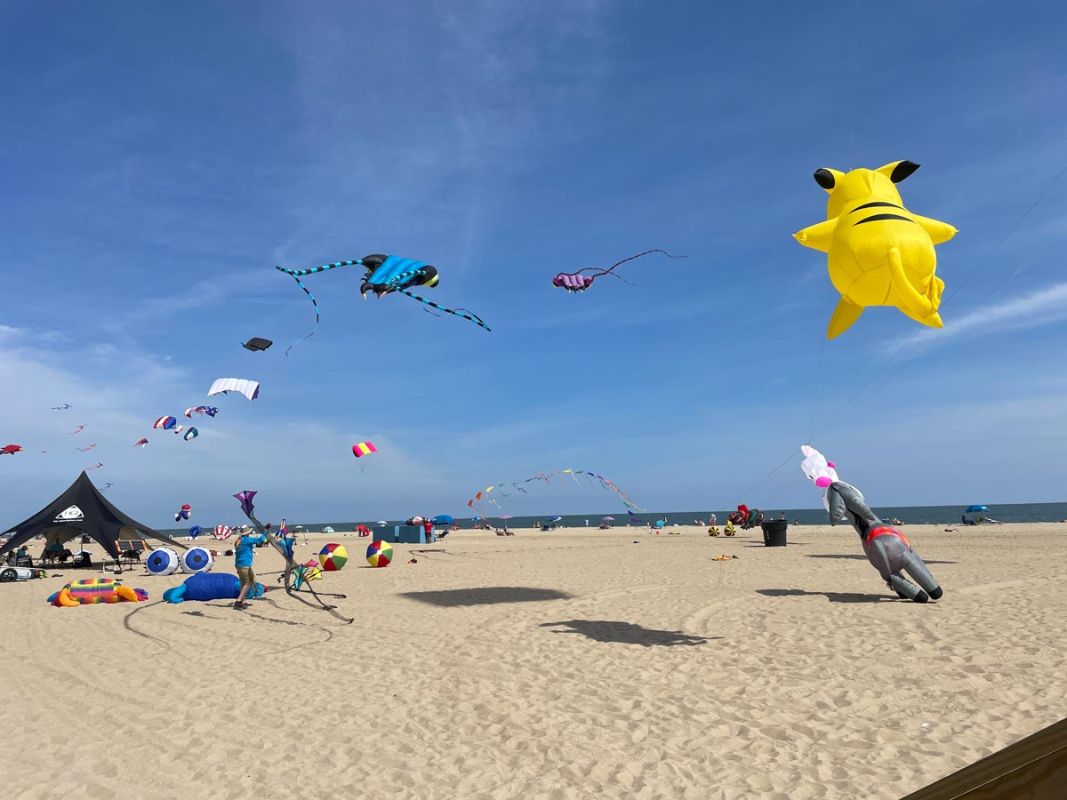 kites
