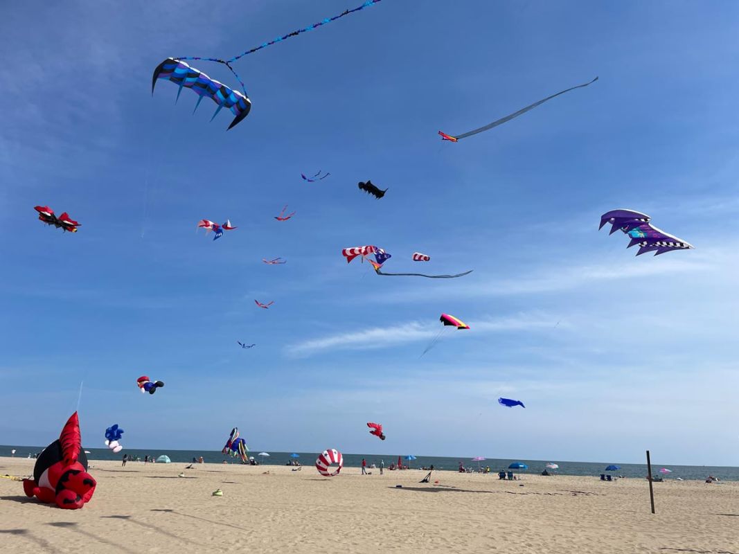 kites