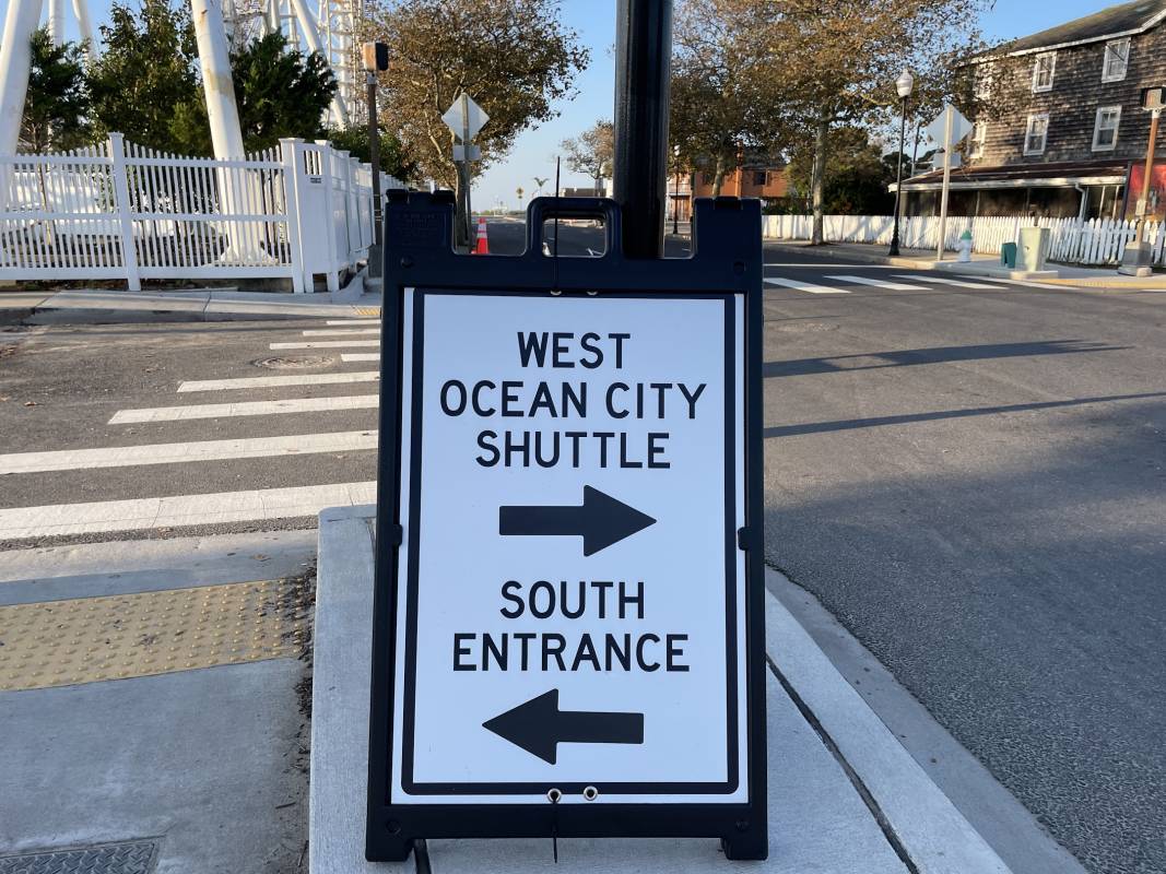 oceans calling buses