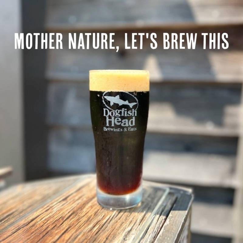 Dogfish Head brewery