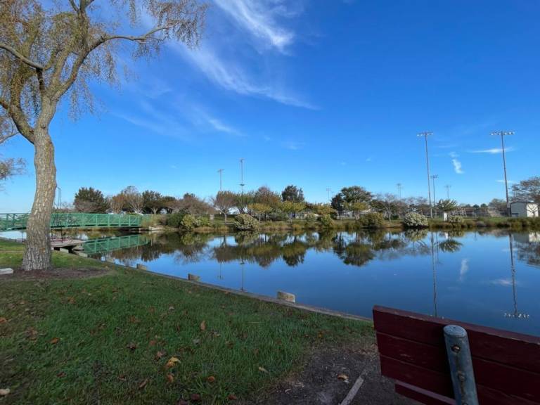 Embracing the Tranquil Beauty of Fall at Northside Park, Ocean City, MD