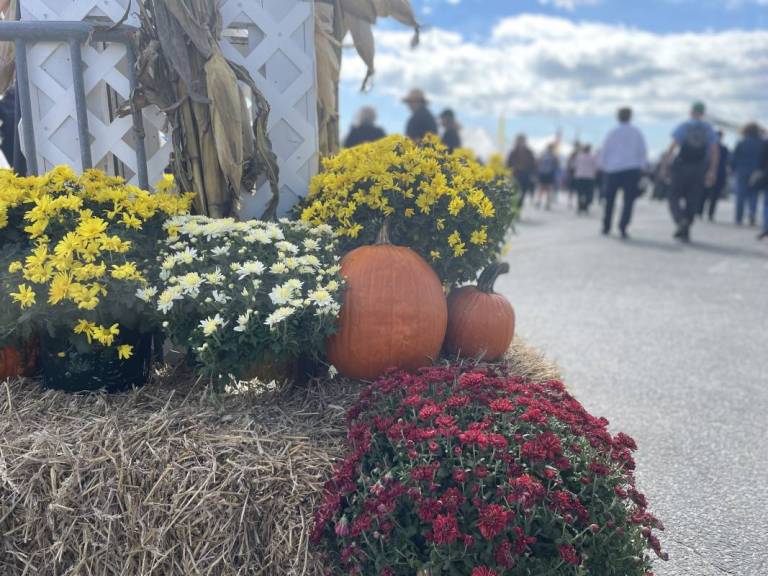 craft beer garden at sunfest