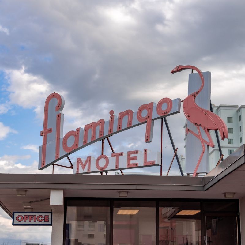 flamingo motel